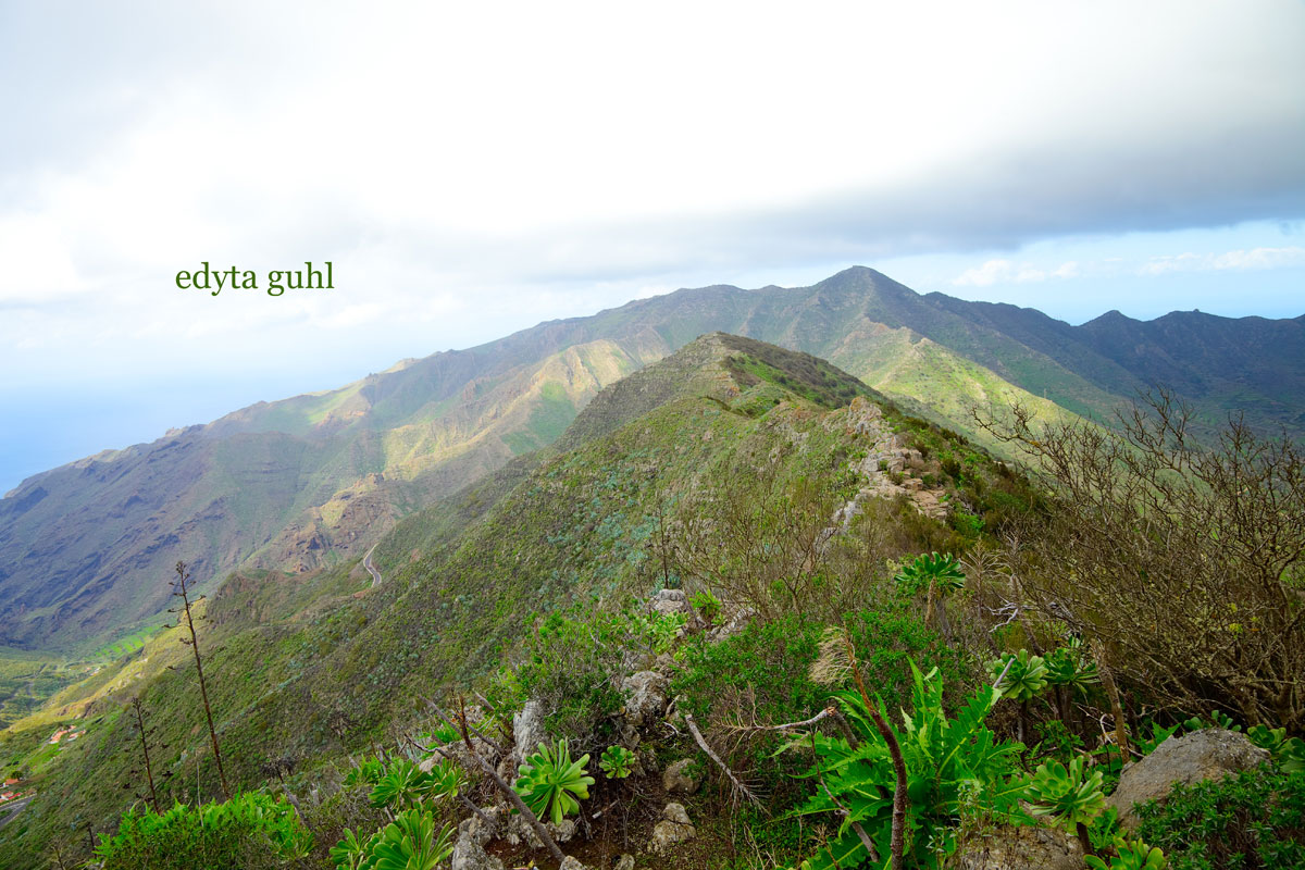 mein-dolcevita.de Wandern auf Teneriffa. Edyta Guhl. Urlaub auf Teneriffa. Spanien.