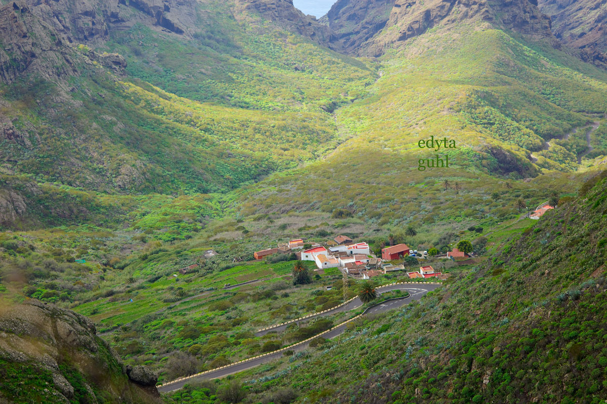 mein-dolcevita.de Wandern auf Teneriffa. Edyta Guhl. Urlaub auf Teneriffa. Spanien.
