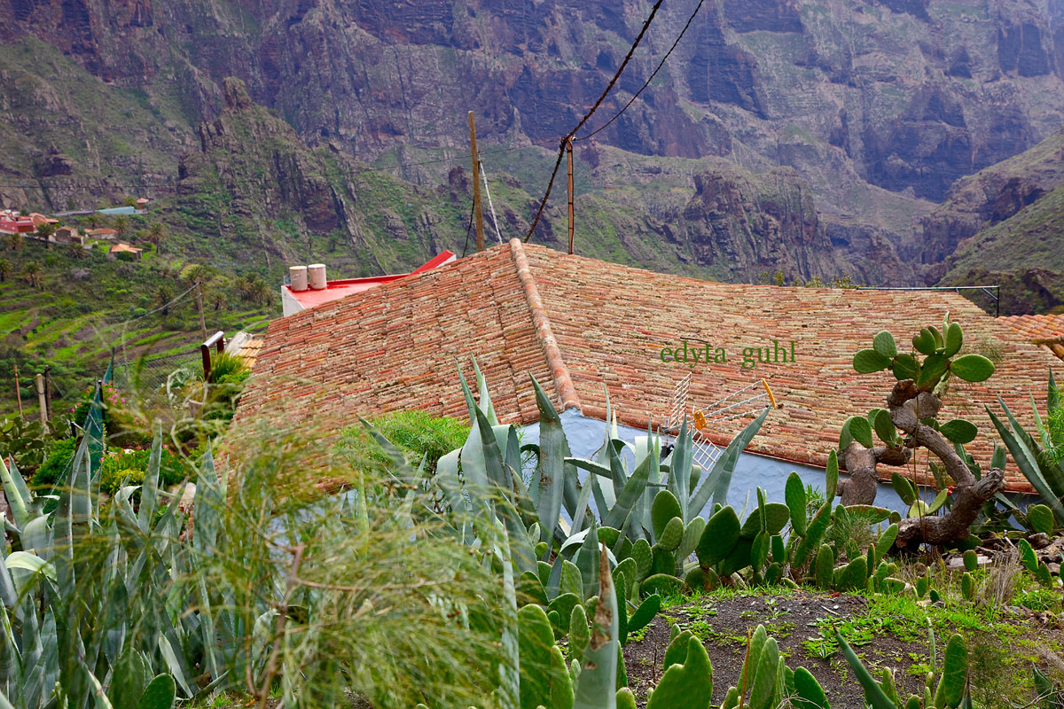 mein-dolcevita.de Wandern auf Teneriffa. Edyta Guhl.