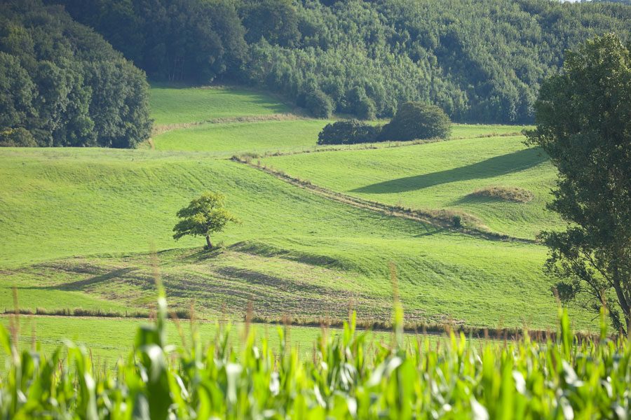 mein-dolcevita.de Eifel, Schwirzheim. Landschaft in Deutschland. Edyta Guhl.