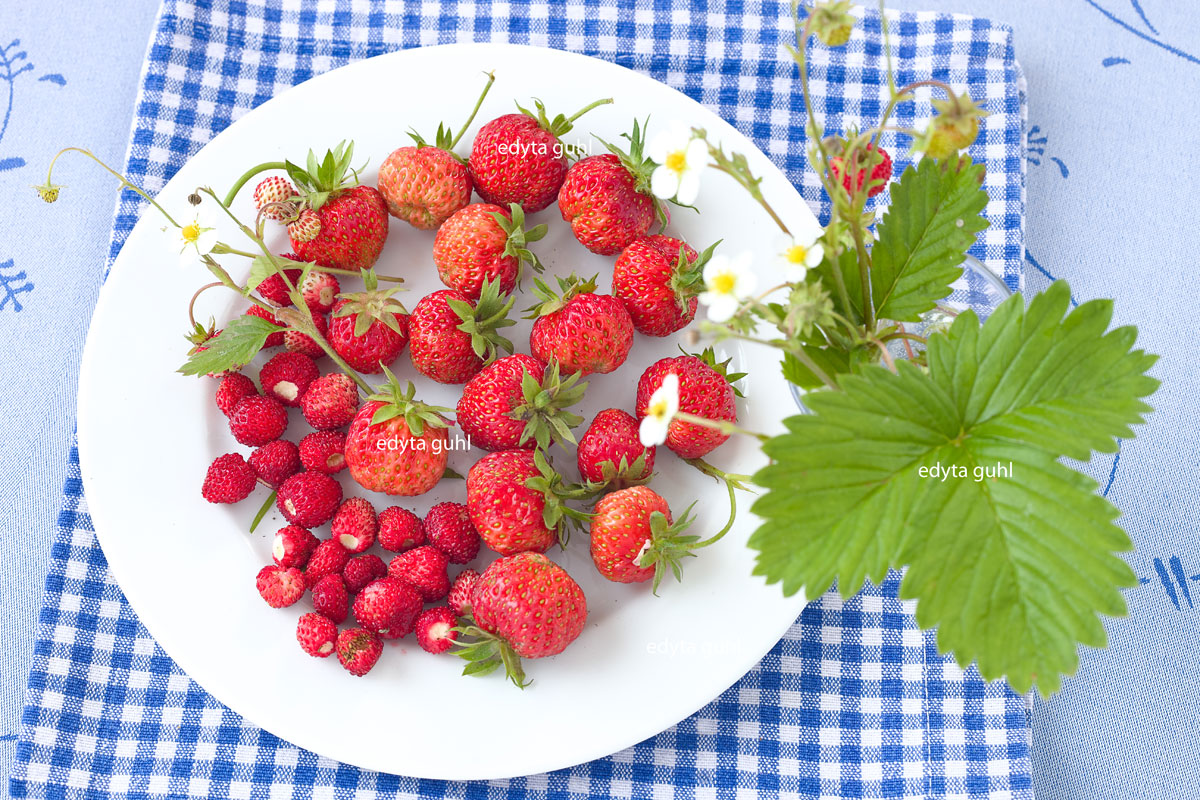 frische-erdbeeren