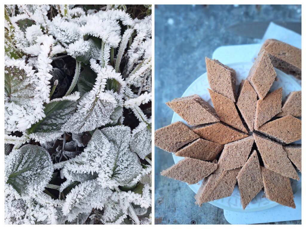 gewurzkuchen-ohne-nusse