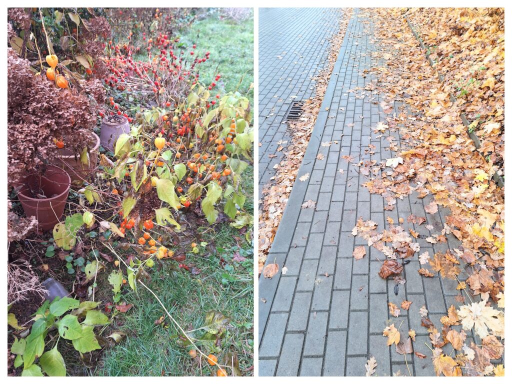 herbst
