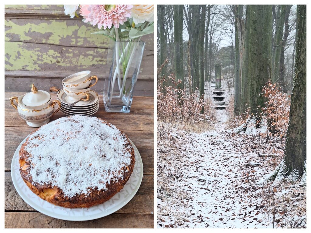 Ganzer runder Kuchen mit Kokosraspeln und ein Denkmal in Wald bei Lehnhaus Niederschlesien.
