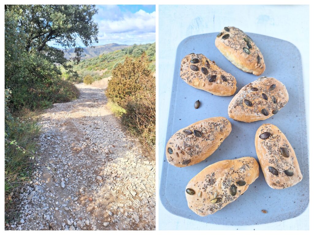 Der Feldweg bei Alto del Perdón in Spanien und sechs Körnerbrötchen auf einem Schneidebrett(rechts).