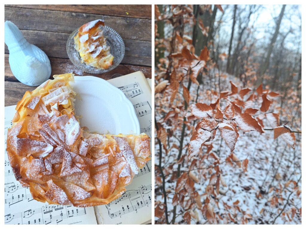 Angeschnittene Filoteig-Torte und Winter-Laubwald.