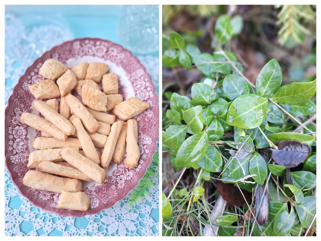 Selbstgemachte Mürbeteigstangen und Ecken auf einem Teller und links nasse Immergrün-Blätter draußen.