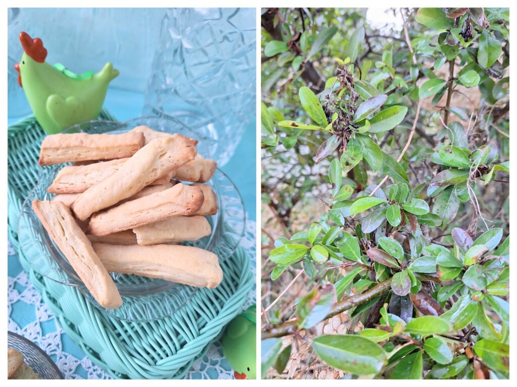 Selbstgemachte Stangenkekse und eine Hahn-Decoration, rechts grüne Blätter auf einem Ast.