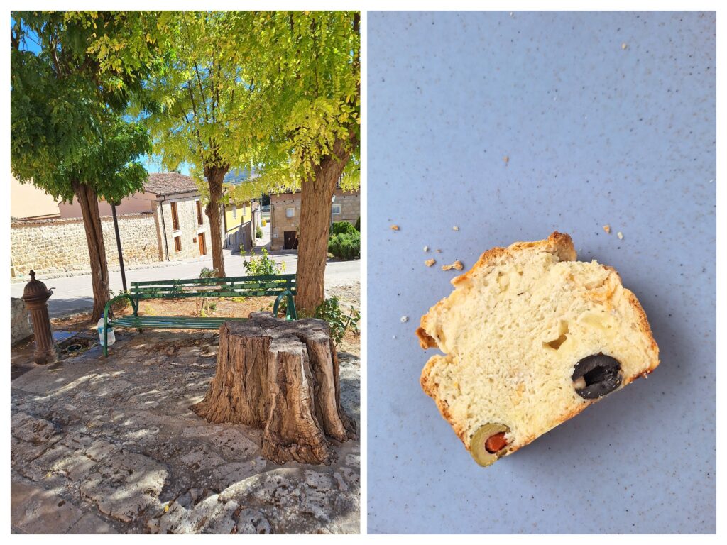 Spanische Idylle: eine Bank unter den Bäumen und eine Scheibe von Oliven-Käse-Brot.