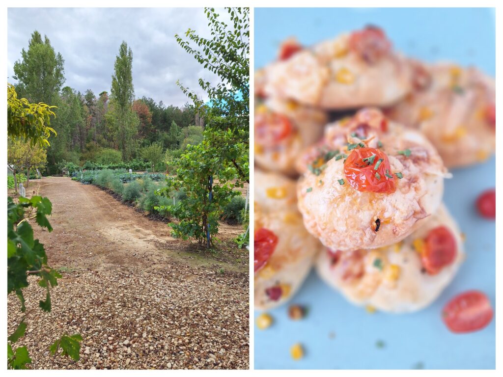 Gemüsegarten in Spanien und rechts Pizzerinki mit Kirschtomete und Mais.