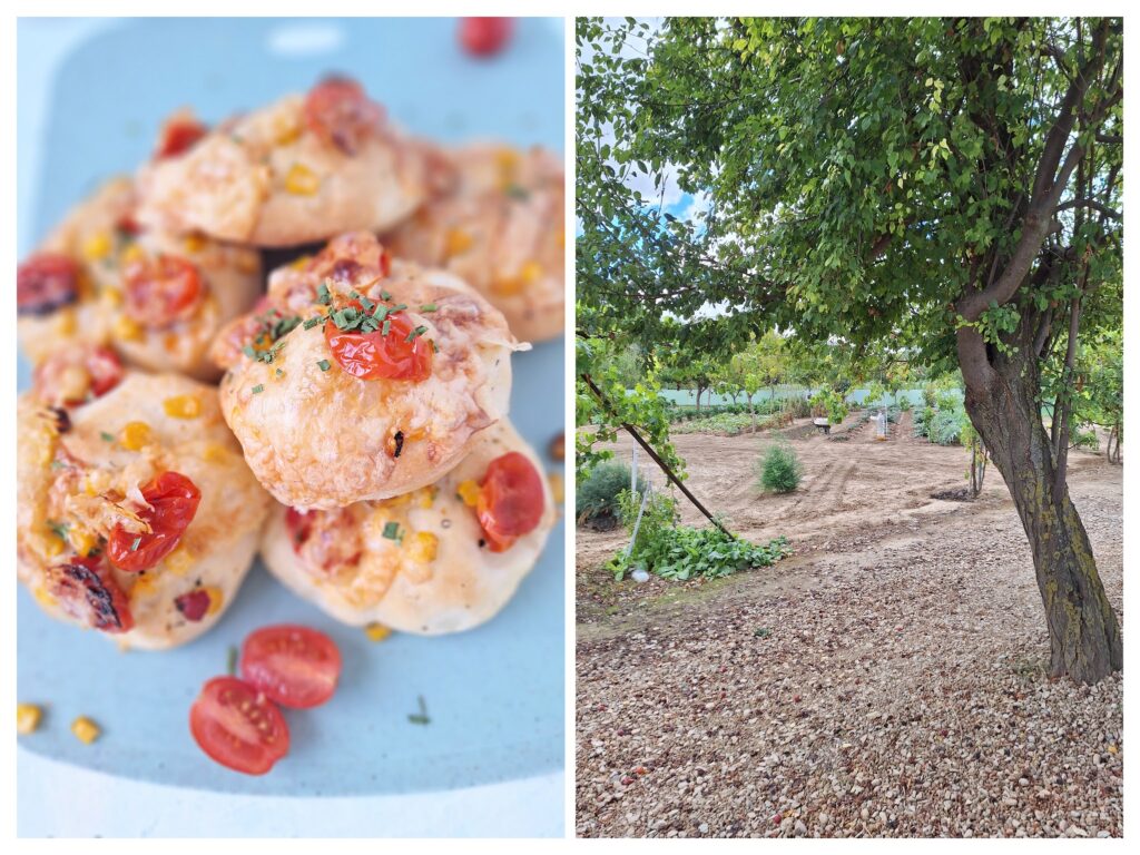 Selbstgemachte Mini-Pizzas und rechts Blich auf Garten in Spanien.