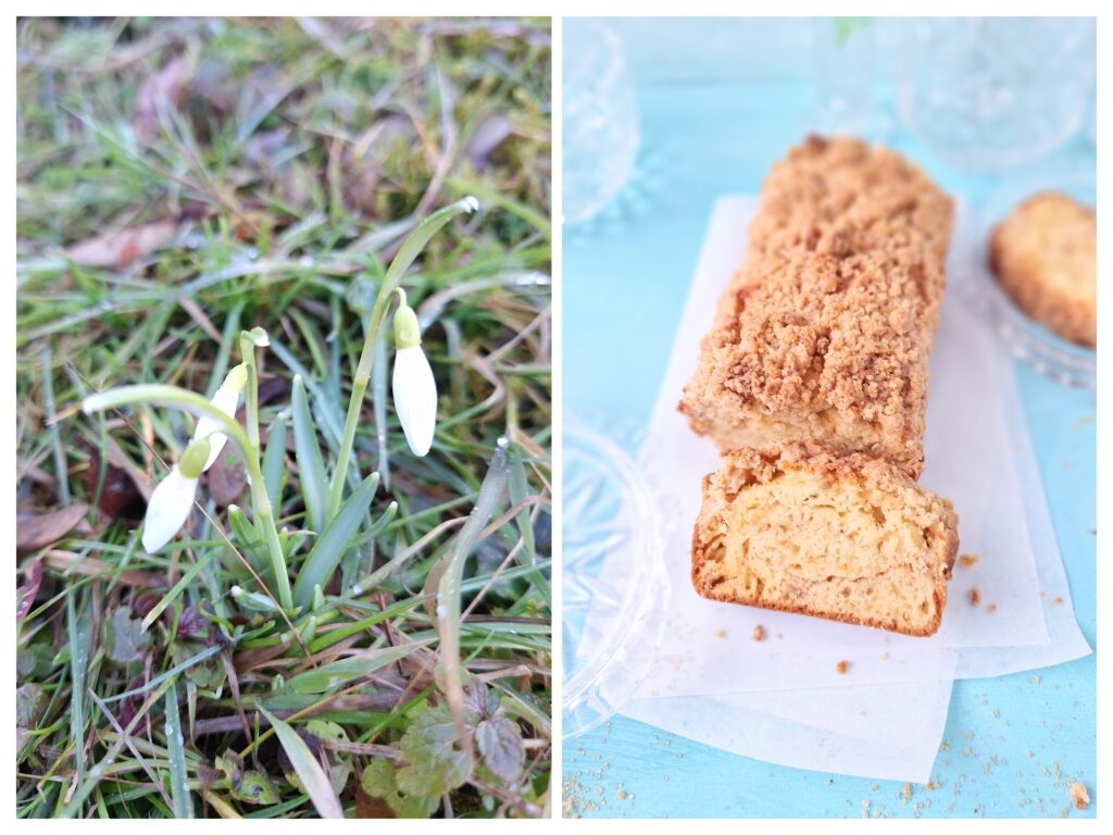 Links Schneeglöckchen im Garten, rechts angeschnittener Streuselkuchen auf weißem Papier.
