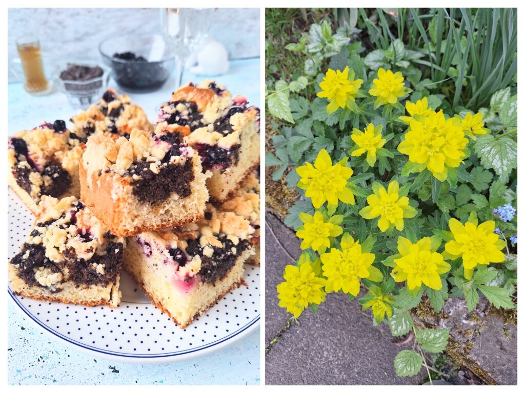 Streusel-Mohnkuchenstücke auf einem Teller und Frühlingsblumen im  Garten.