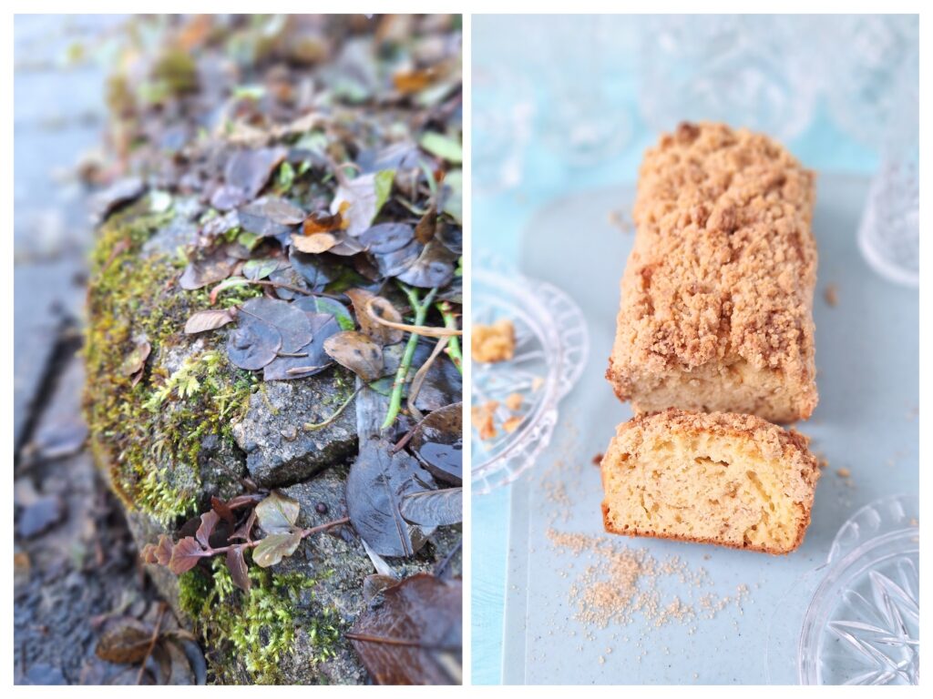 Bemooste Steine mit Laub und rechts Streusel-Zimt-Kuchen bekannt als jewish coffee cake.
