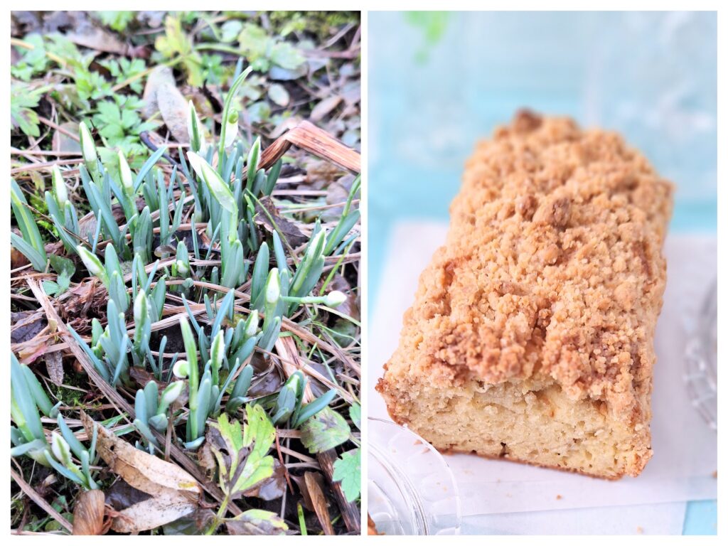 Schneeglöckchen und rechts Streusel-Kastenkuchen.