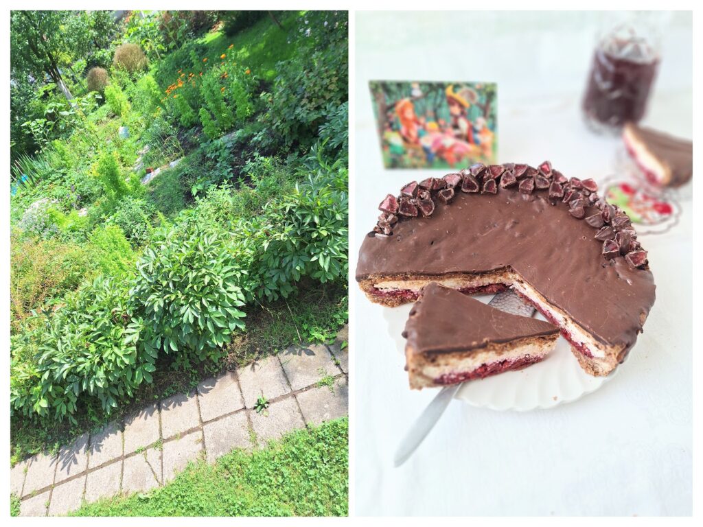 Blick auf grünen Sommergarten und rechts angeschnitener Schoko-Käsekuchen mit Kirschen.