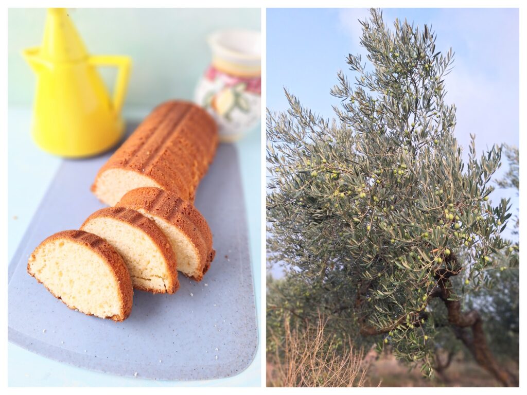 Angeschnittener Oliven-Zitronenkuchen und ein Olivenbaum in Spanien, rechts.