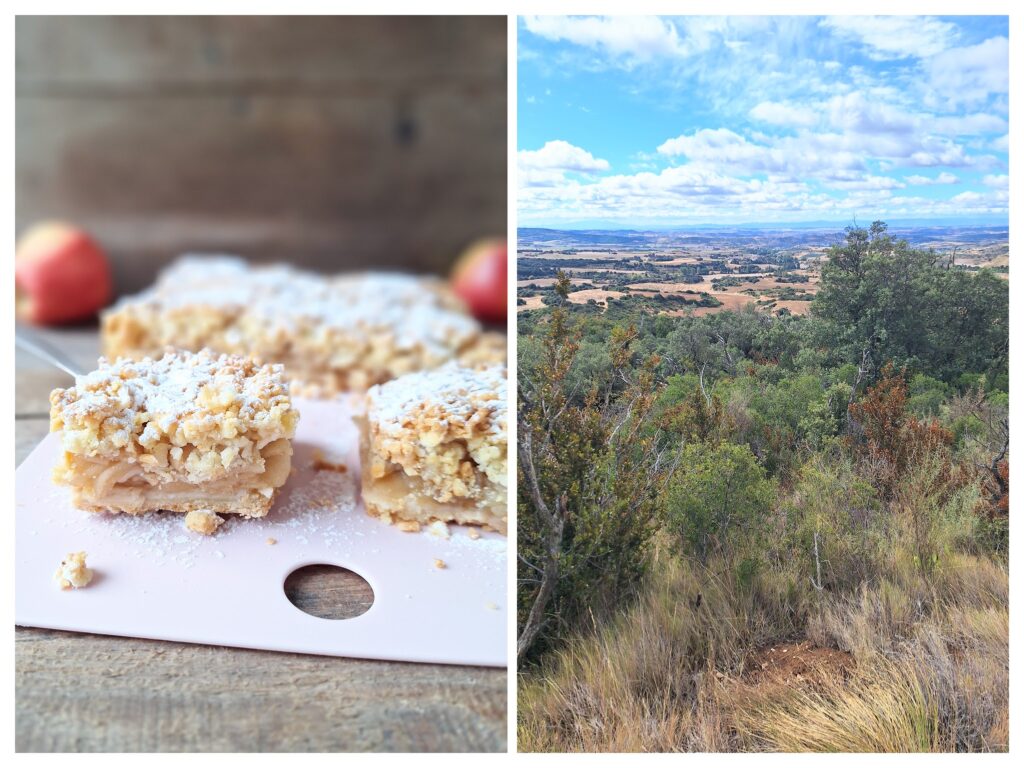 Angeschnittener Stresusel-Apfelkuchen und recht ein Ausblick bei Alto del Perdón.