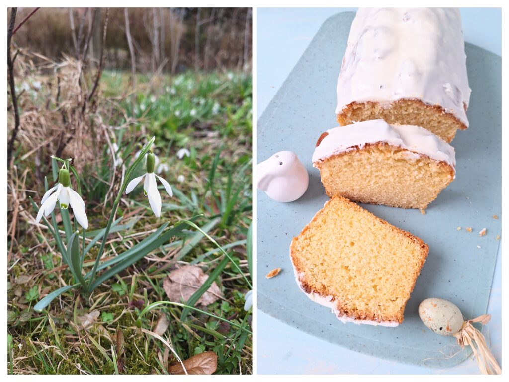 Schneeglöckchen im Garten und Zitronenkastenkuchen für Ostern.
