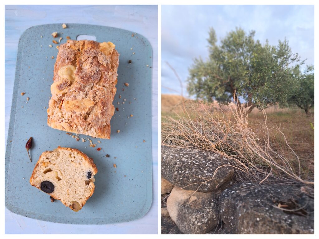 Angeschnittenes Oliven-Feta-Brot und Olivenbäume hinter Steinmauer in Spanien.