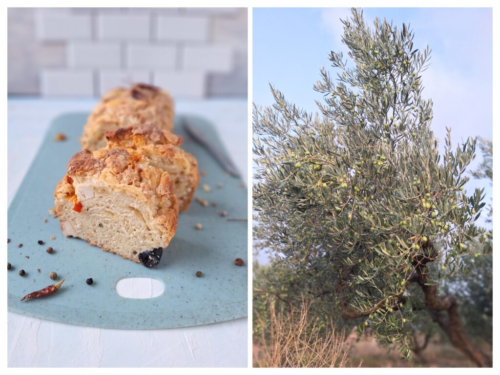 Mediterranes Brot mit Oliven und Olivenbaum in Spanien.
