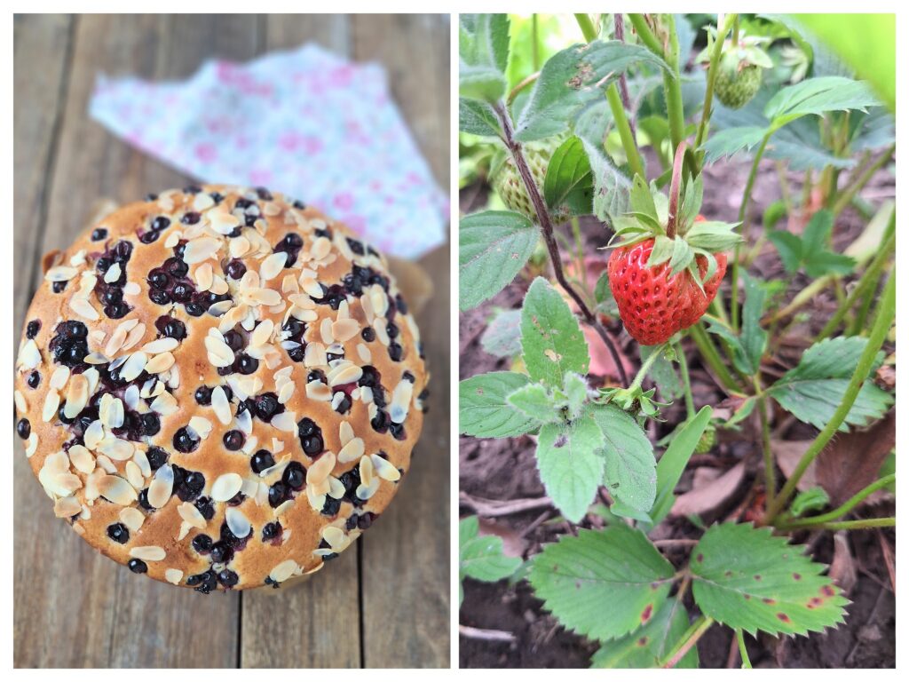 Ganzer Rührkuchen mit Beeren und Mandelblättchen und rechts eine Erdbeere im Garten.
