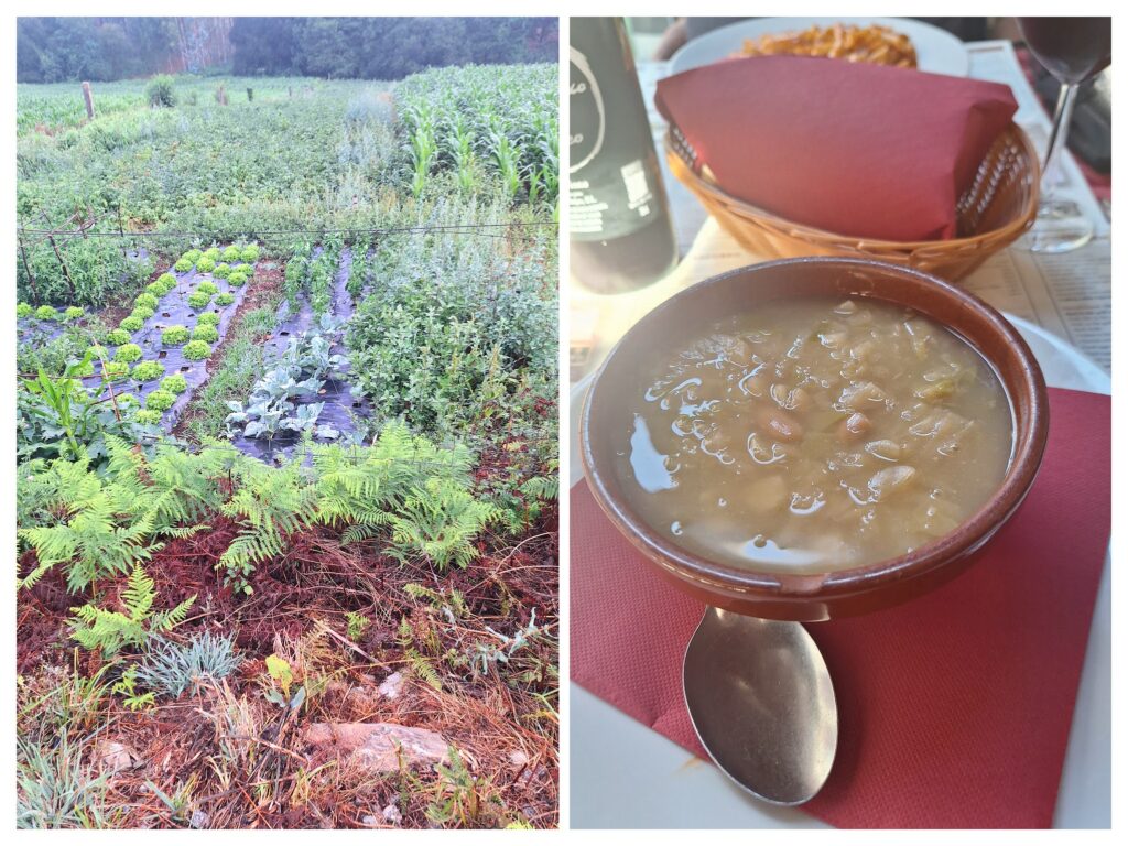Garten in Spanien und rechts caldo gallego, spanische Suppe.