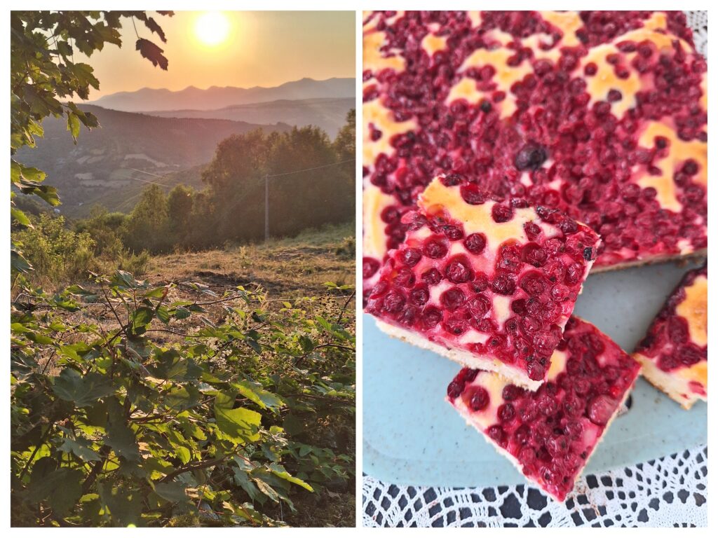 Sonnenaufgang und Kuchen mit roten Johannisbeeren.