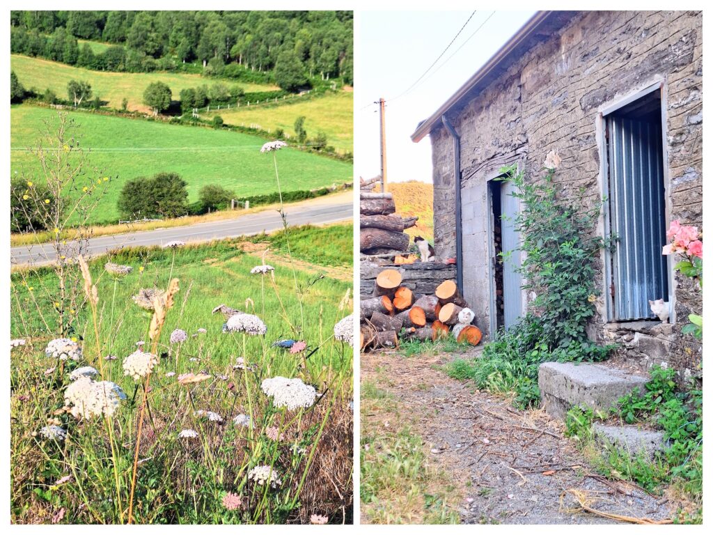 Grüne Felder und Strasse in Galizien, rechts ein altes Steinhaus in Galizien.