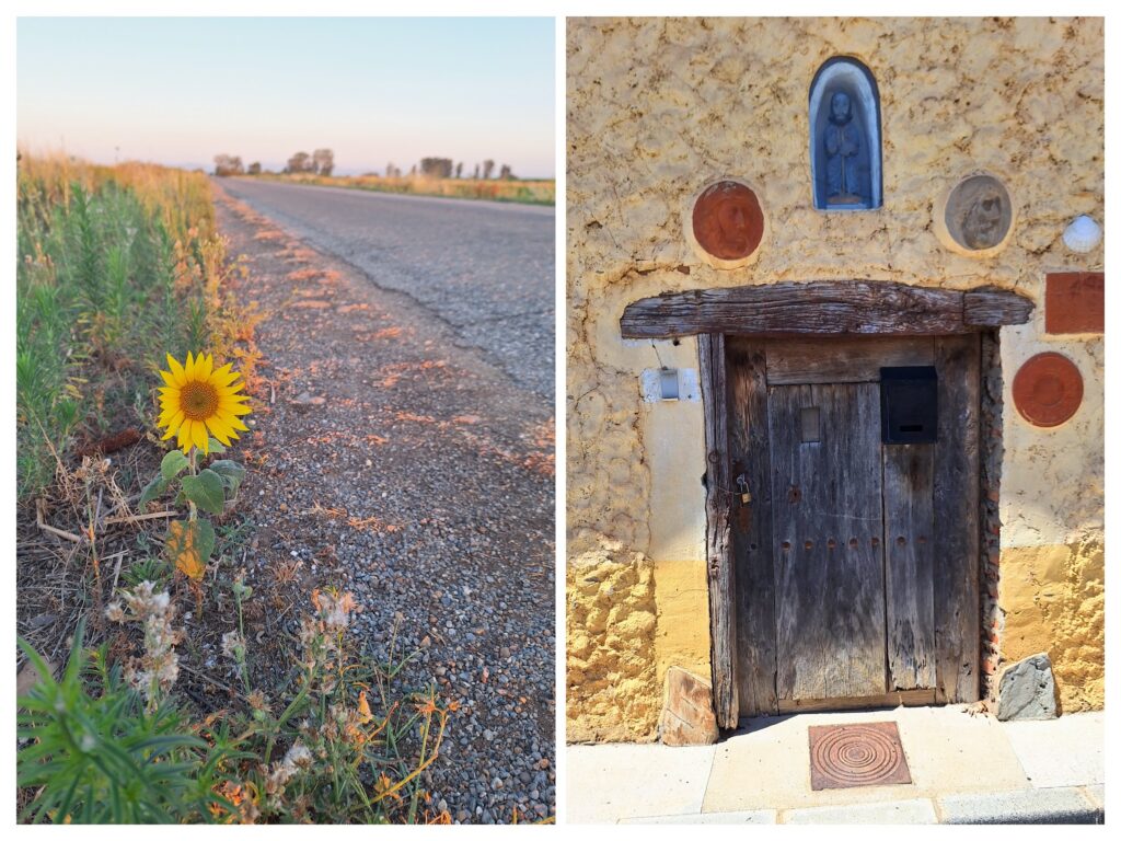 Einzelne Sonnenblume am Straßenrand und alte Hausfasade in Spanien in .