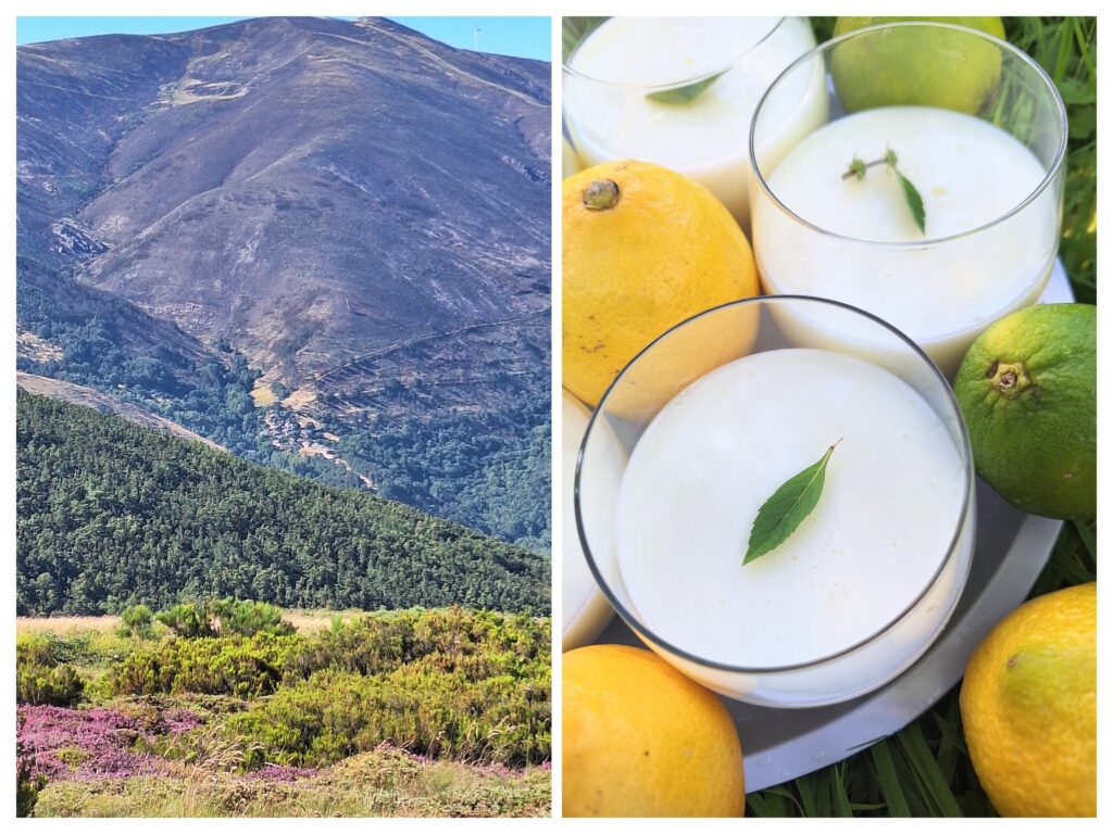 Limetten-Gelatine-Dessert im Glas und rechts spanische Berge.