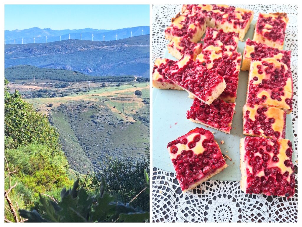 Links Camino frances und rechts angeschnittener Kuchen mit roten Johannisbeeren.