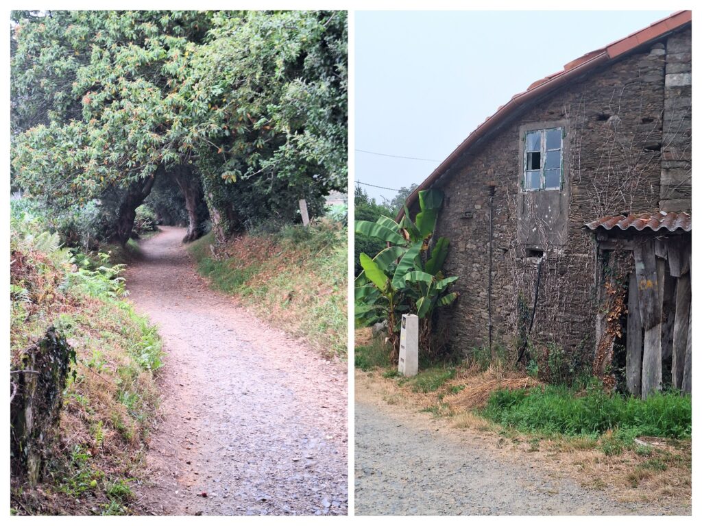 Der Waldweg und rechts ein uraltes Gebäude in Galizien in Spanien .