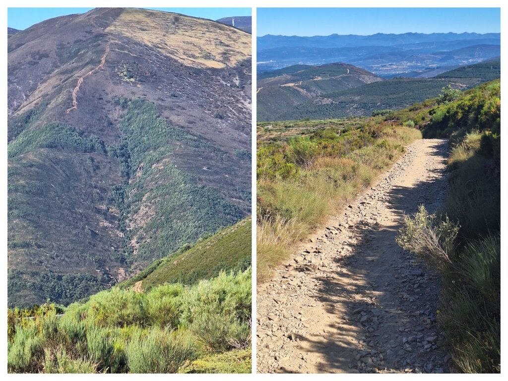 Das Gebirge in Galizien