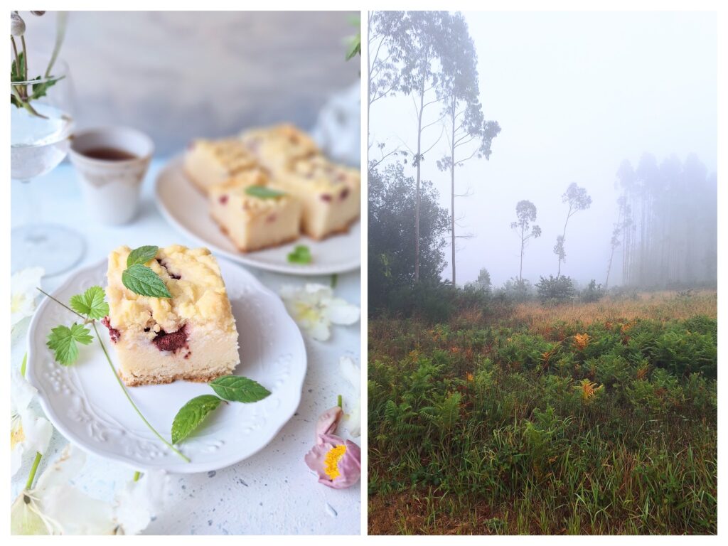 Streuselkäsekuchen mit Erdbeeren vom Blech und rechts Eukaliptusbäume in Galizien.