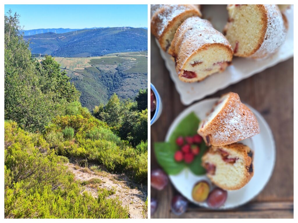 Blick auf El Aceite und rechts angeschnittener Rodonkuchen mit Zwetschgen.