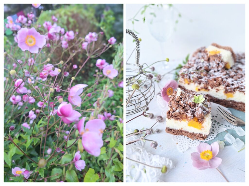 Blumen in Garten und rechts Blechkuchen mit Kakaostreuseln und Nektarinen.