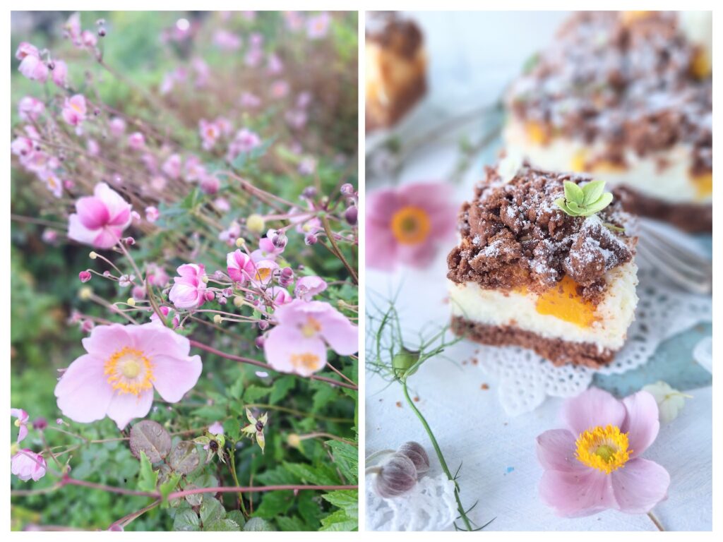 Blüten im Garten und rechts lechkuchen mit Kokosfüllung, Kakaostreuseln und Nektarinen.