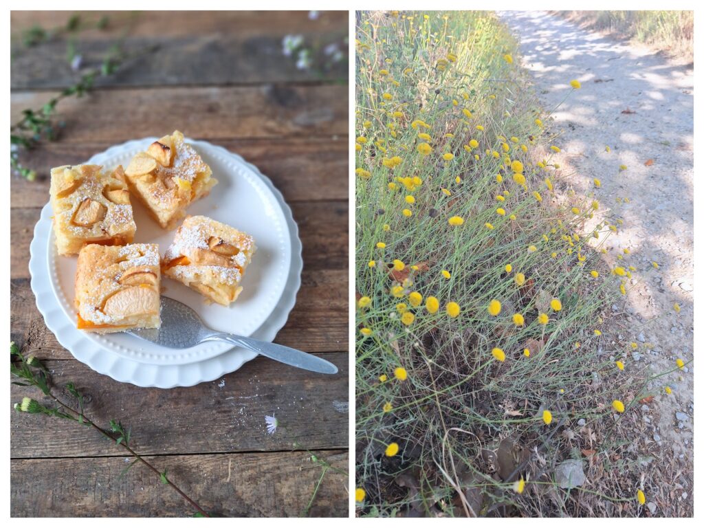 Vier Stücke Apfel-Blechkuchens auf dem weißen Teller und rechts gelbe Blumen am Strassenrand.