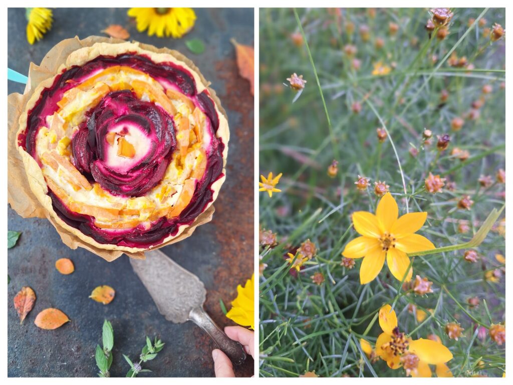 Ganze und gebackene Rote Bete-Kürbis-Tarte und rechts gelbe Blüte.