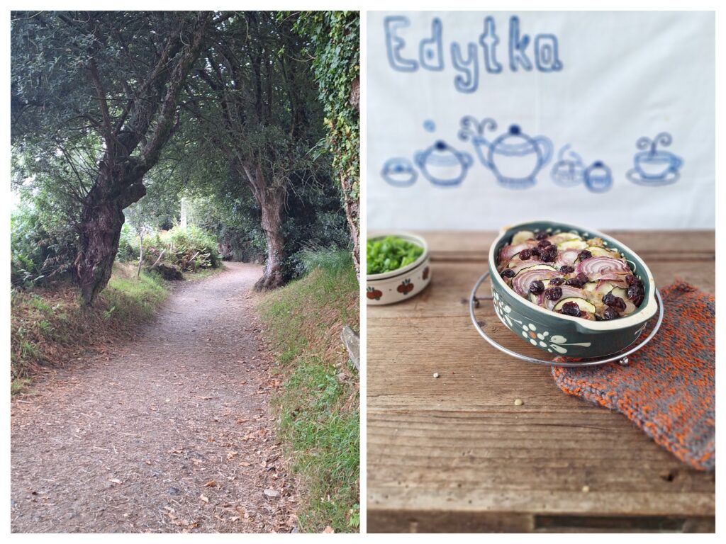 Ein Weg durch den Wald in galizien und rechts der Gemüse-Auflauf.